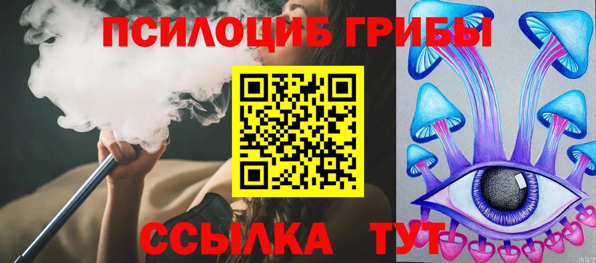 Галлюциногенные грибы Psilocybine cubensis Мценск