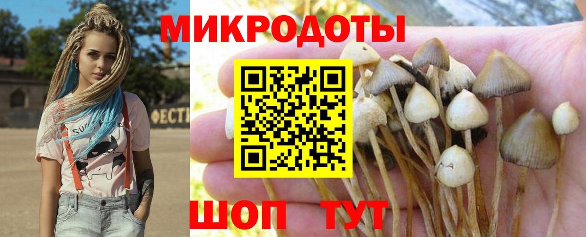 Мценск  Псилоцибиновые грибы MAGIC MUSHROOMS  Вход с VPN 